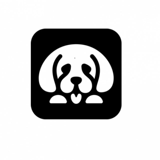 Florida Puppies for Sale